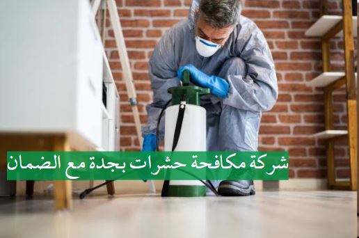 شركة مكافحة حشرات بجدة مع الضمان