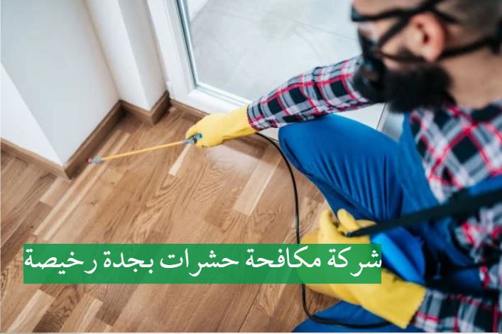 شركة مكافحة حشرات بجدة رخيصة