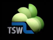 Televison South West (TSW, 1982-1992)