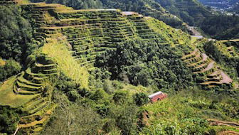 BANAUE