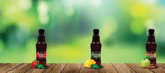 W&B آبمیوه انرژی زا شل 12 عددی