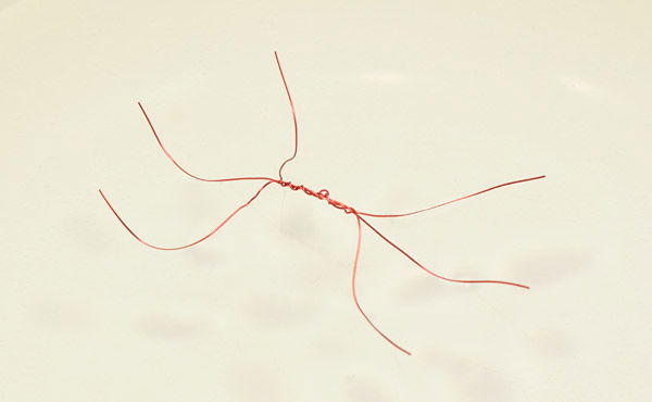 Water Striders & Surface Tension *