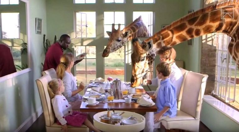 Breakfast at Giraffe Manor