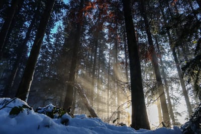 چرا تور ترکيه مقصدي دوستداشتني و پربيننده دربين ايرانيان است؟