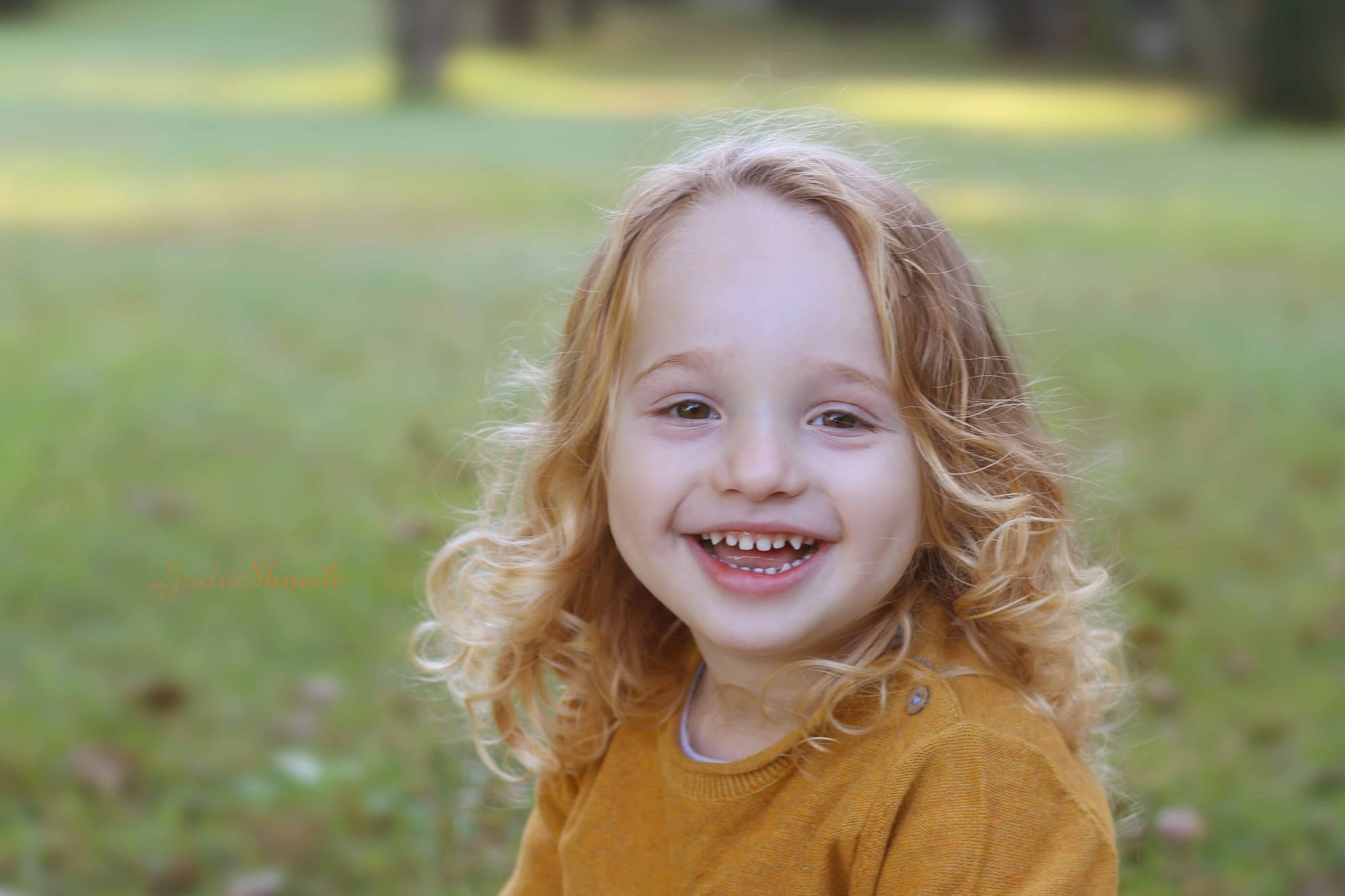 תמונות חלאקה