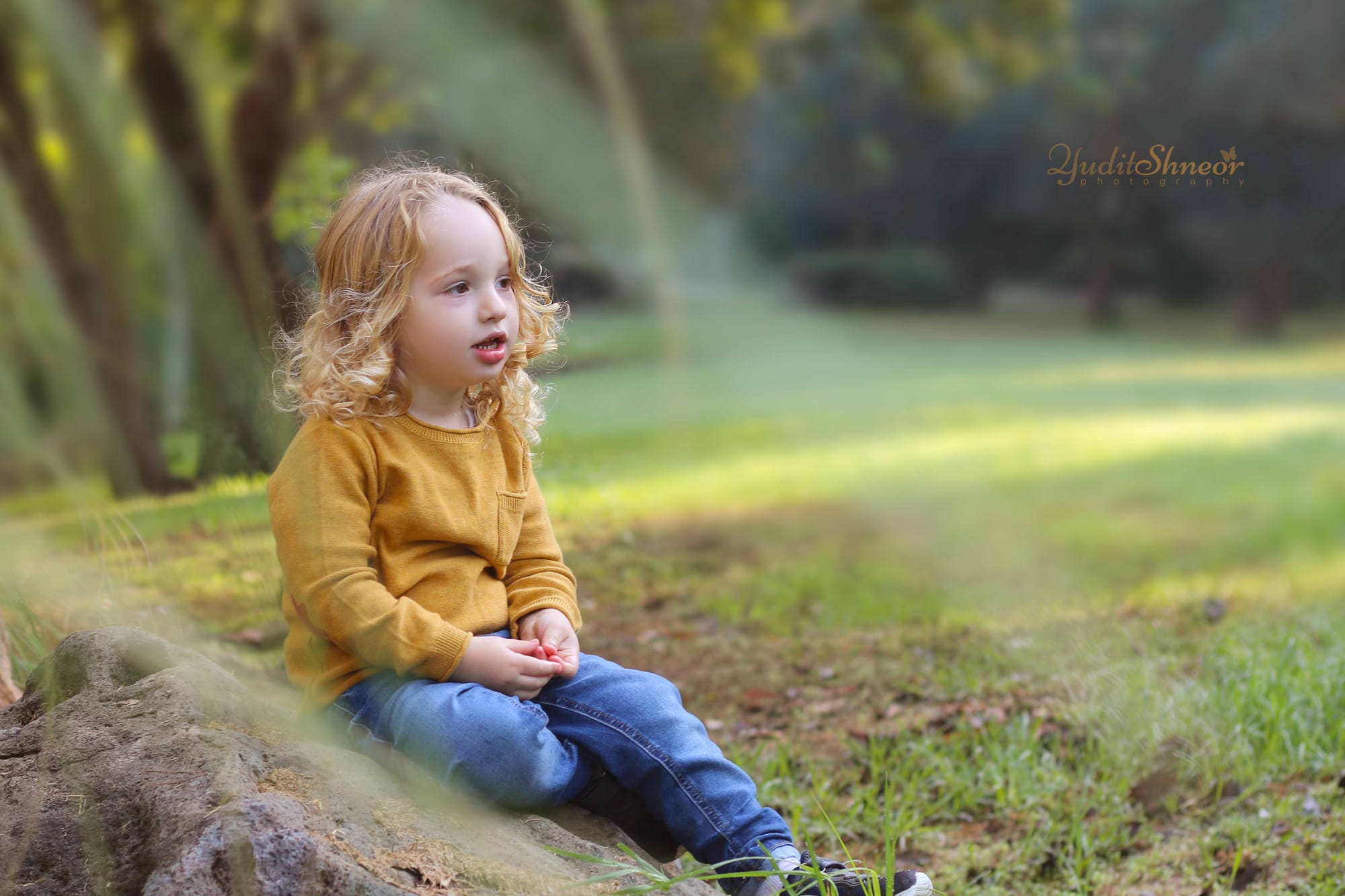 תמונות חלאקה