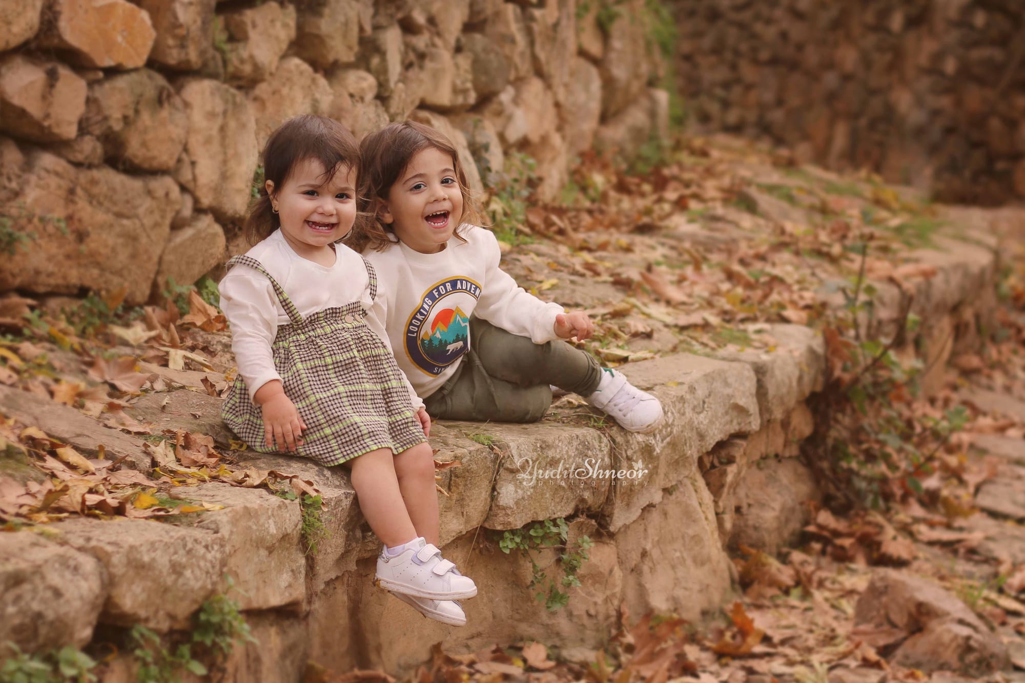 תמונות חלאקה