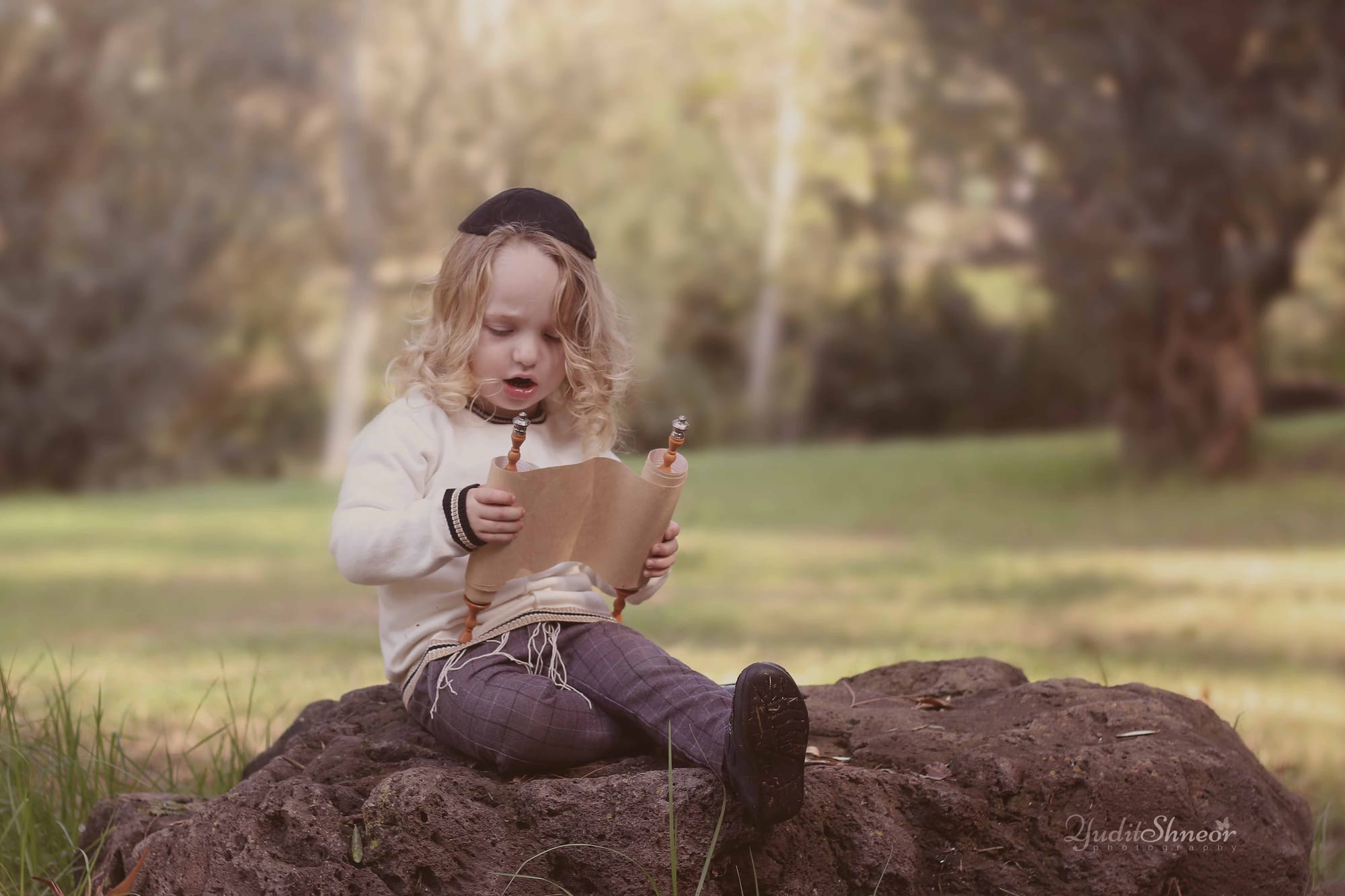 תמונות חלאקה