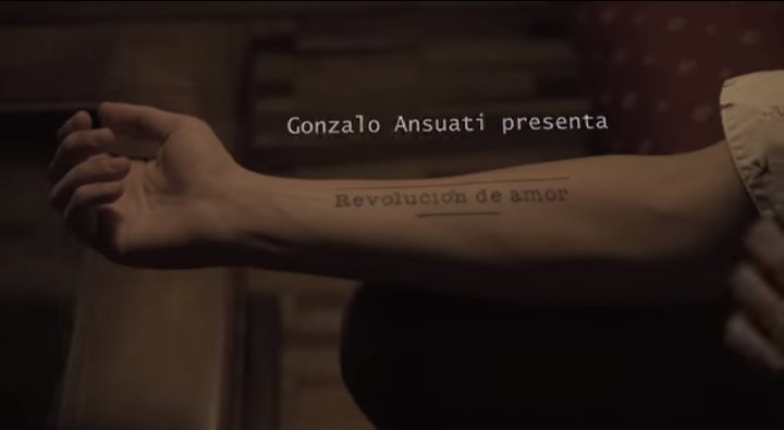 Disfrutamos de grandes artistas, Gonzalo Ansuiati.