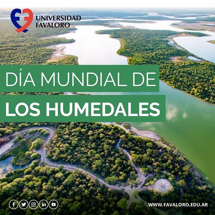 Debemos garantizar la conservación y restauración de los humedales para detener la pérdida de la biodiversidad.