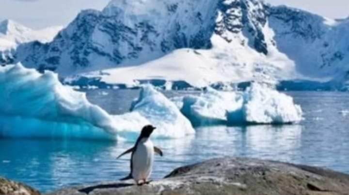 La Antártida vivió el día más caluroso de la historia.