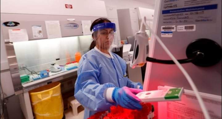 Coronavirus: cuál es la diferencia entre una pandemia, una epidemia y una enfermedad endémica.