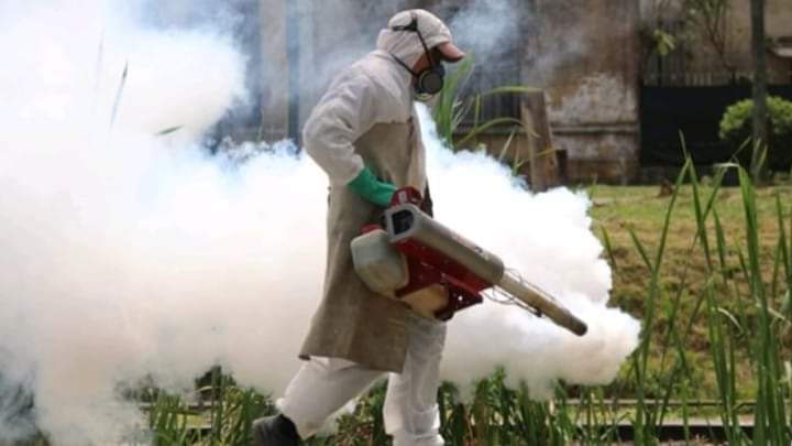 El Municipio realiza fumigaciones permanentes que se complementan con tareas y campañas informativas.