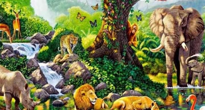 29 de abril: Día del Animal.