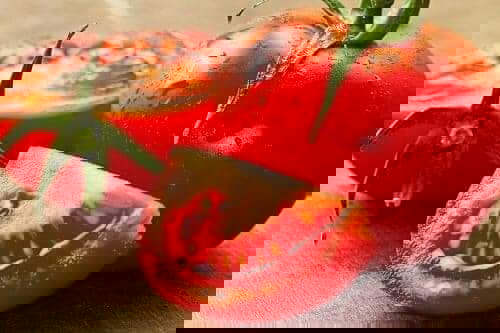 El tomate, no sólo mejora considerablemente el sabor de cualquier comida, además aporta muchos beneficios para la salud, es rico en vitaminas y minerales.