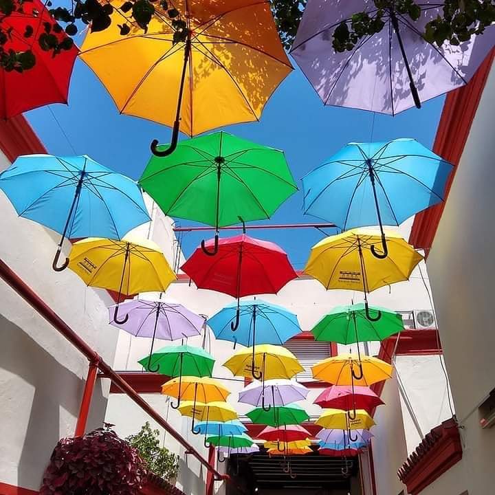 Galería Solar de French, San Telmo.