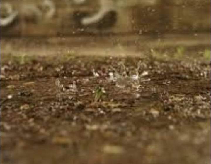 👉  El olor a tierra mojada antes de cada lluvia tiene nombre y explicación.