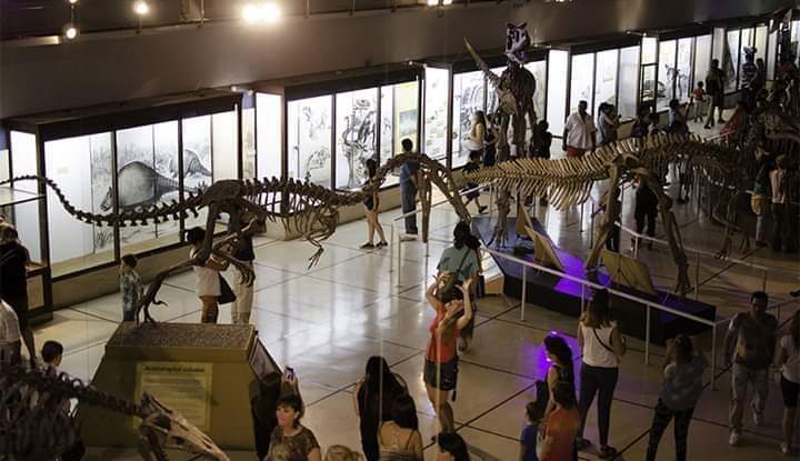 Visita al Museo de Ciencias Naturales.