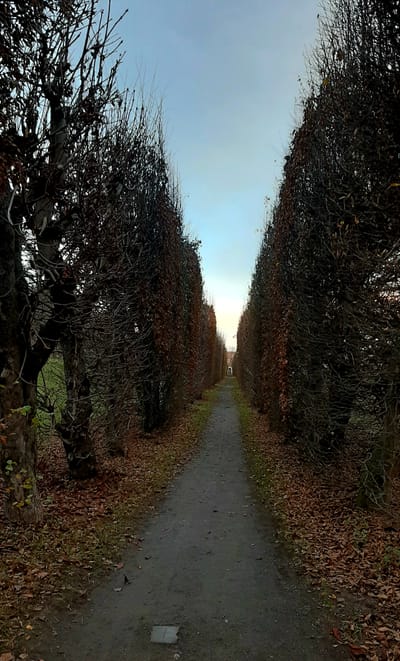 Nová cesta duše konec ega