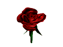LOVE NOW image