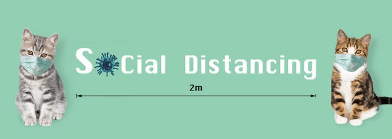 The Best Tips For Moving With Pets