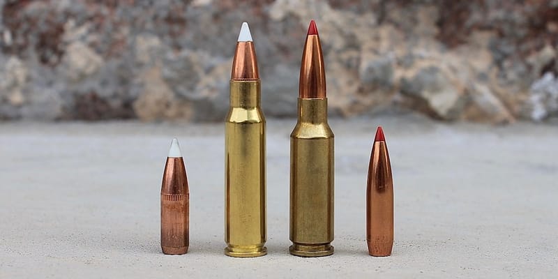 Which ammo is best for hunting? 6.5 Grendal or 6.8 SPC