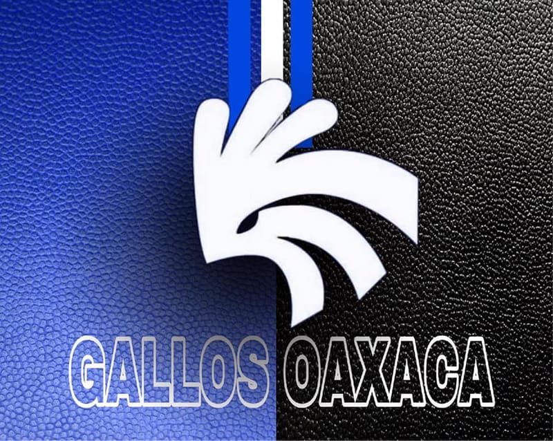 GALLOS OAXACA