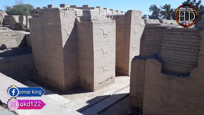 تقرير خاص  image