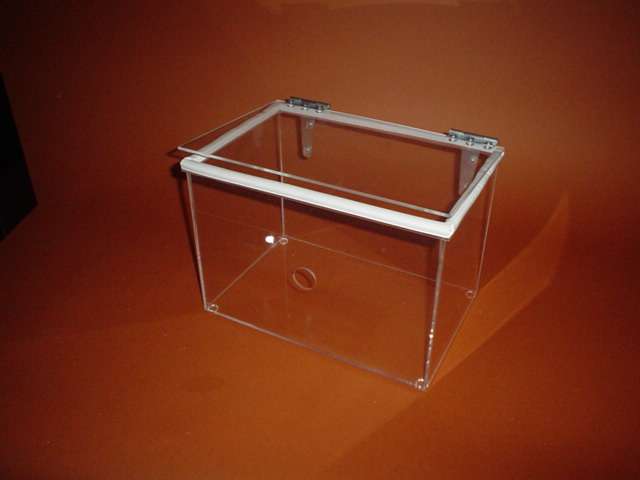 Custom Clear Acrylic Box w/ Metal Hinges