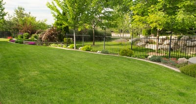 bestsodcompanies image