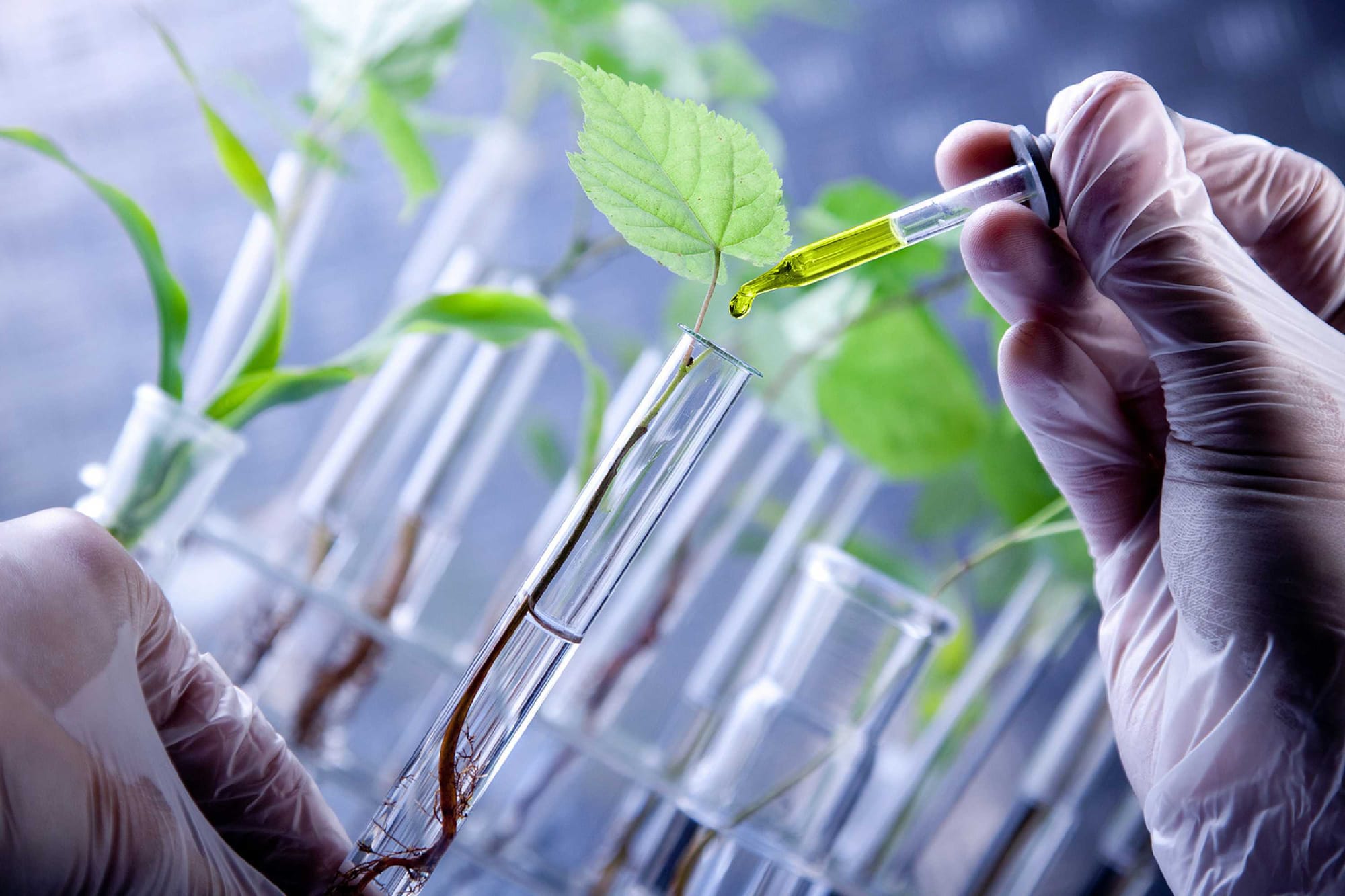 Biotecnología