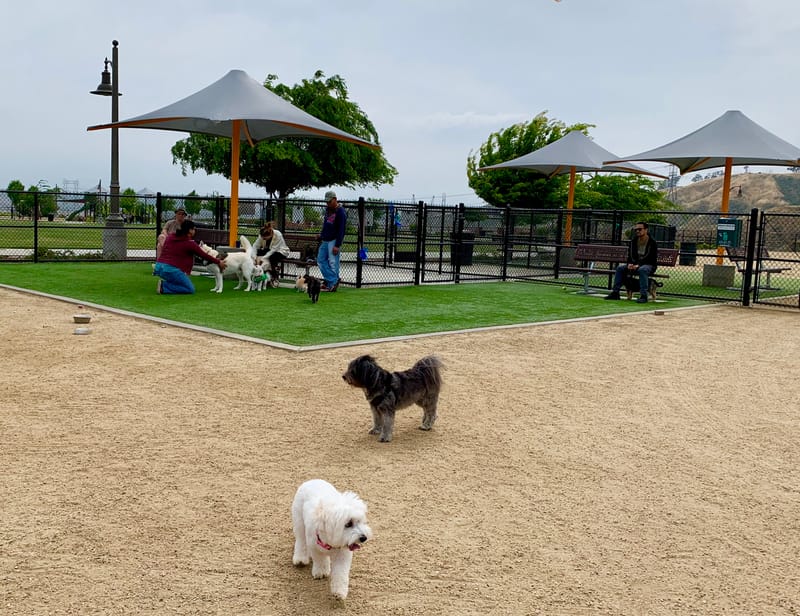 The Best Dog Parks in Santa Clarita