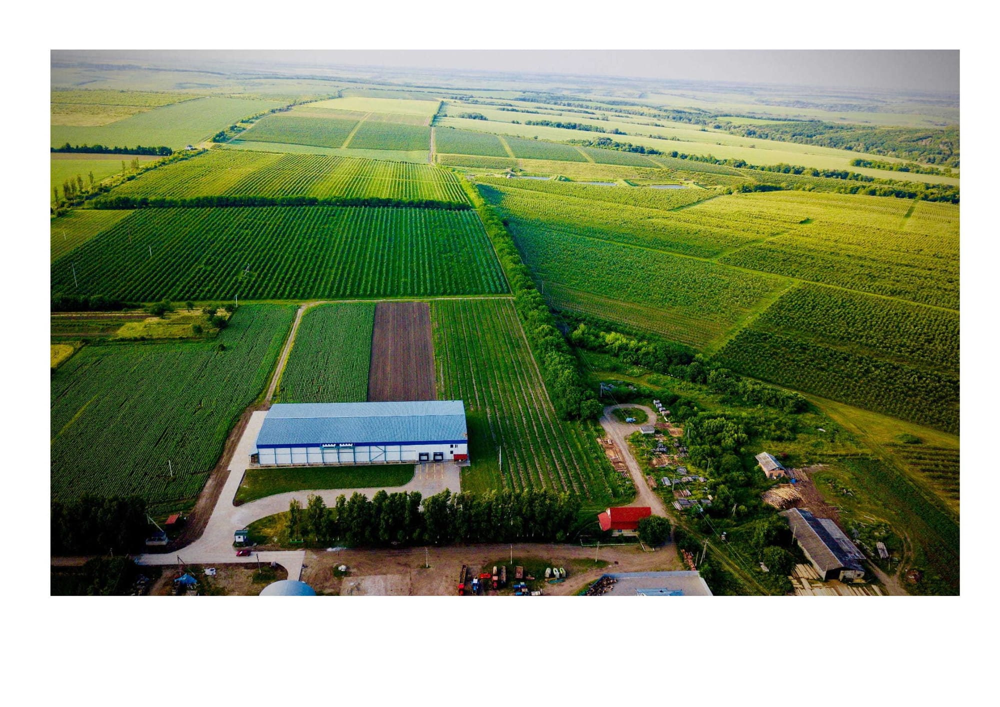 Apple farm for sale in the Carpathian region