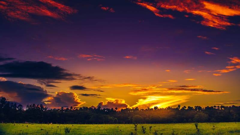 DÍA DE NUESTROS LLANEROS