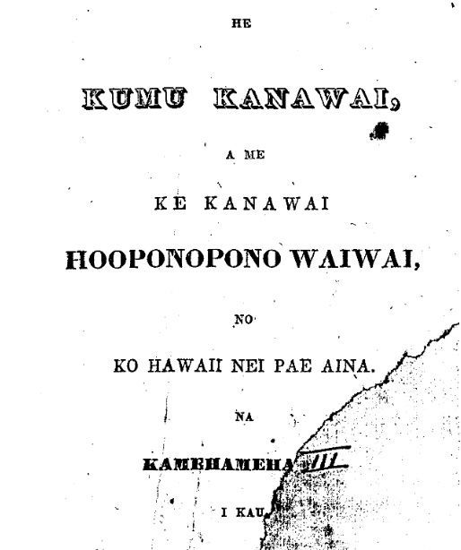 What is your Legal Status Under Hawaiian Kingdom law?