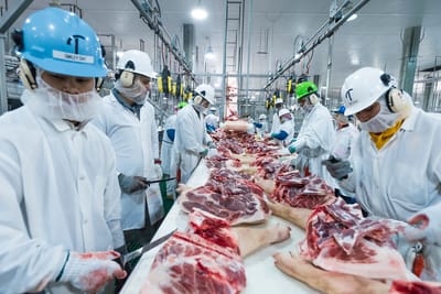 Practices in Slaughterhouses That You Need to Know