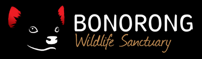 Bonorong Wildlife Sanctuary