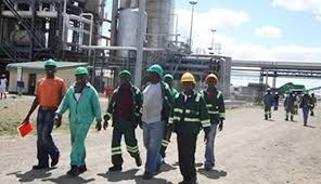 Green Fuel Exposes Mnangagwa’s Empty Promise To Workers
