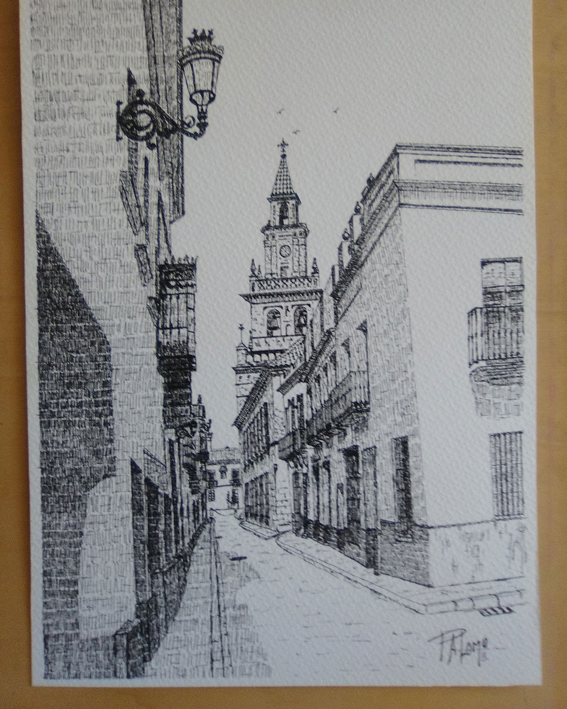 Paisaje Carmona