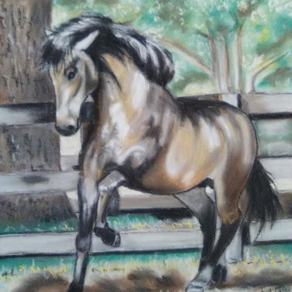 CABALLOS 32 X 46 cm