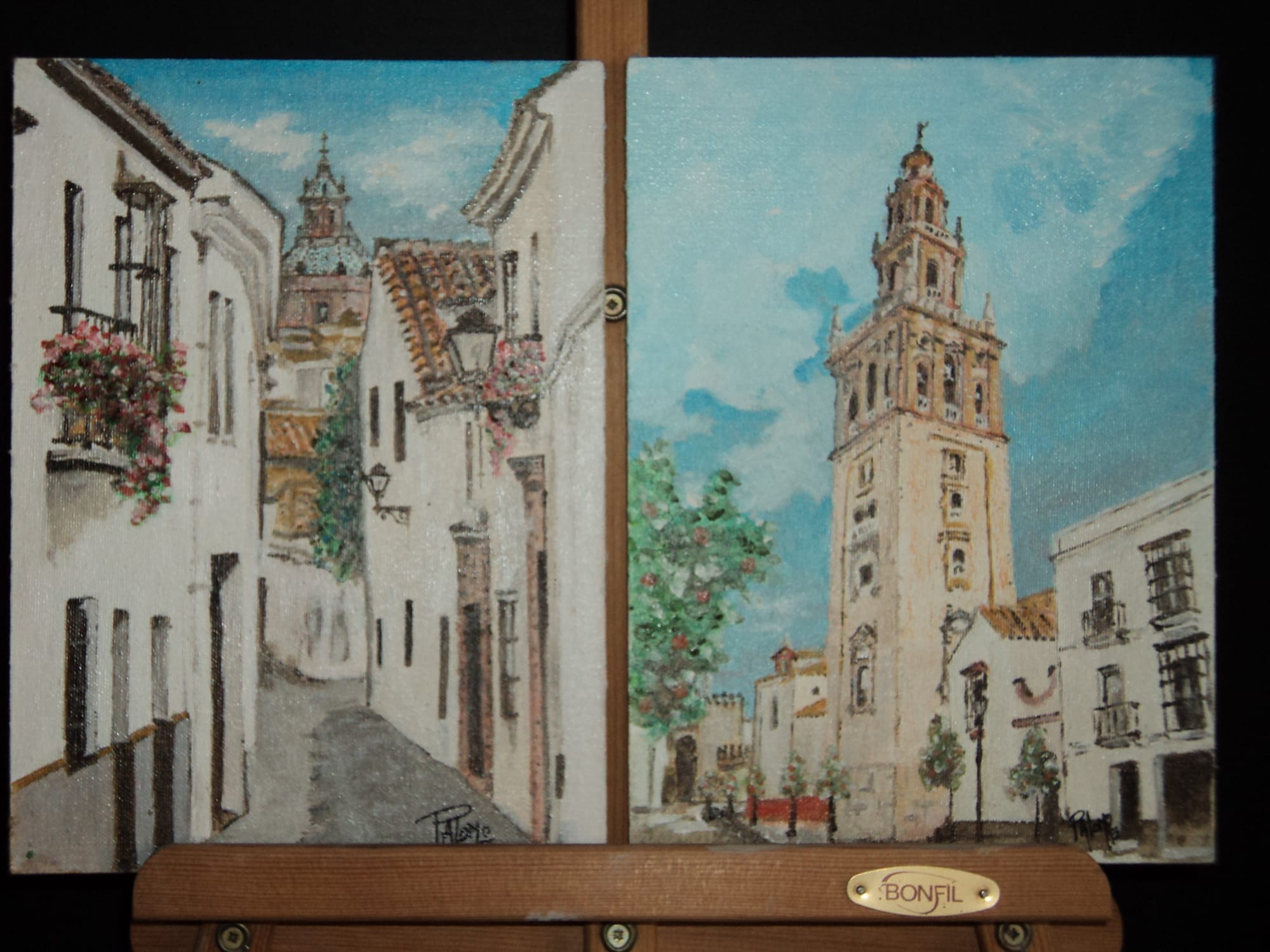 PAISAJES DE CARMONA