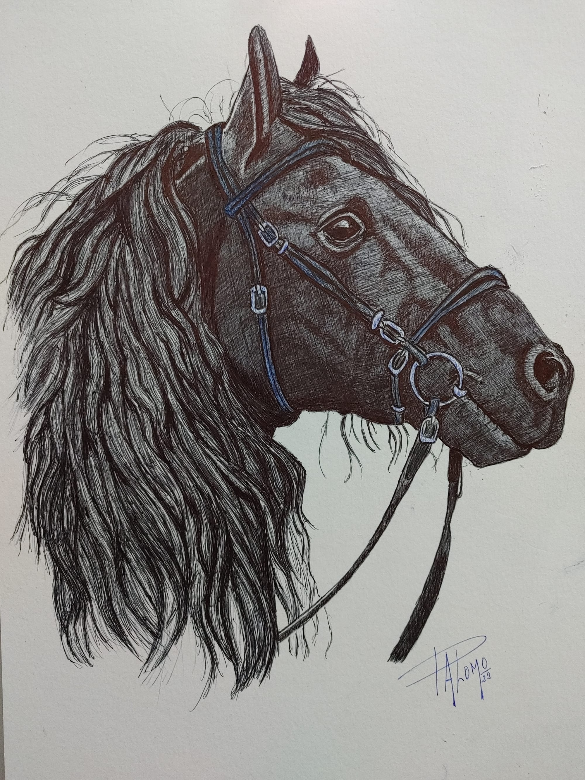 CABALLO NEGRO