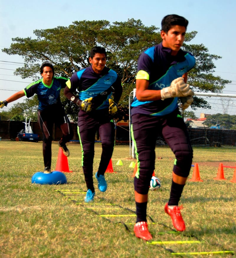 Los 7 componentes de la coordinación del arquero.