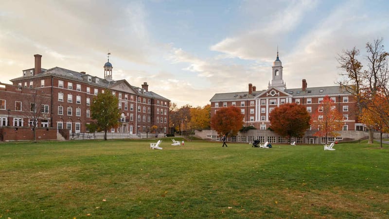 3. Harvard University