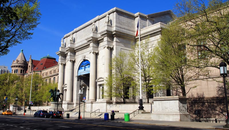 10. American Museum Of Natural History, New York City, USA