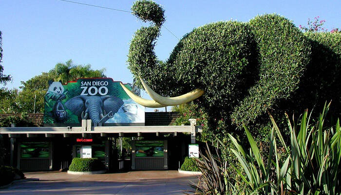 3. San Diego Zoo