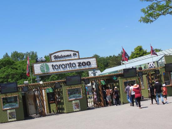 7. Toronto Zoo