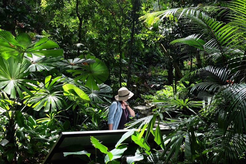 1. Tour the Tropical Spice Garden