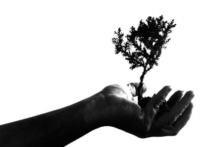 Rôle de l&#039;art-thérapeute image