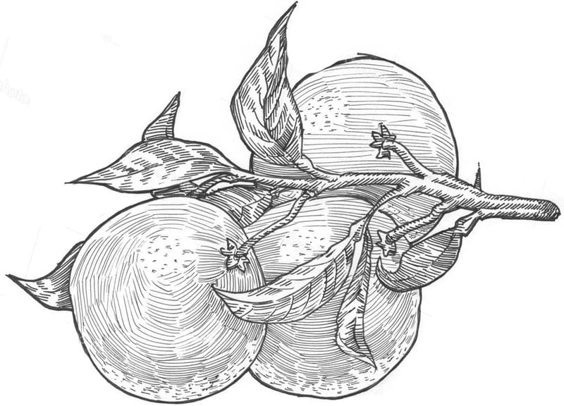 Απόψε τα Μεσάνυχτα / Tonight in the midnight hour